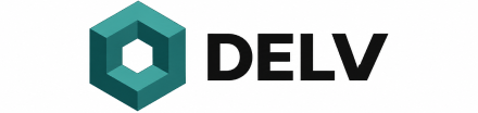 DELV Partners